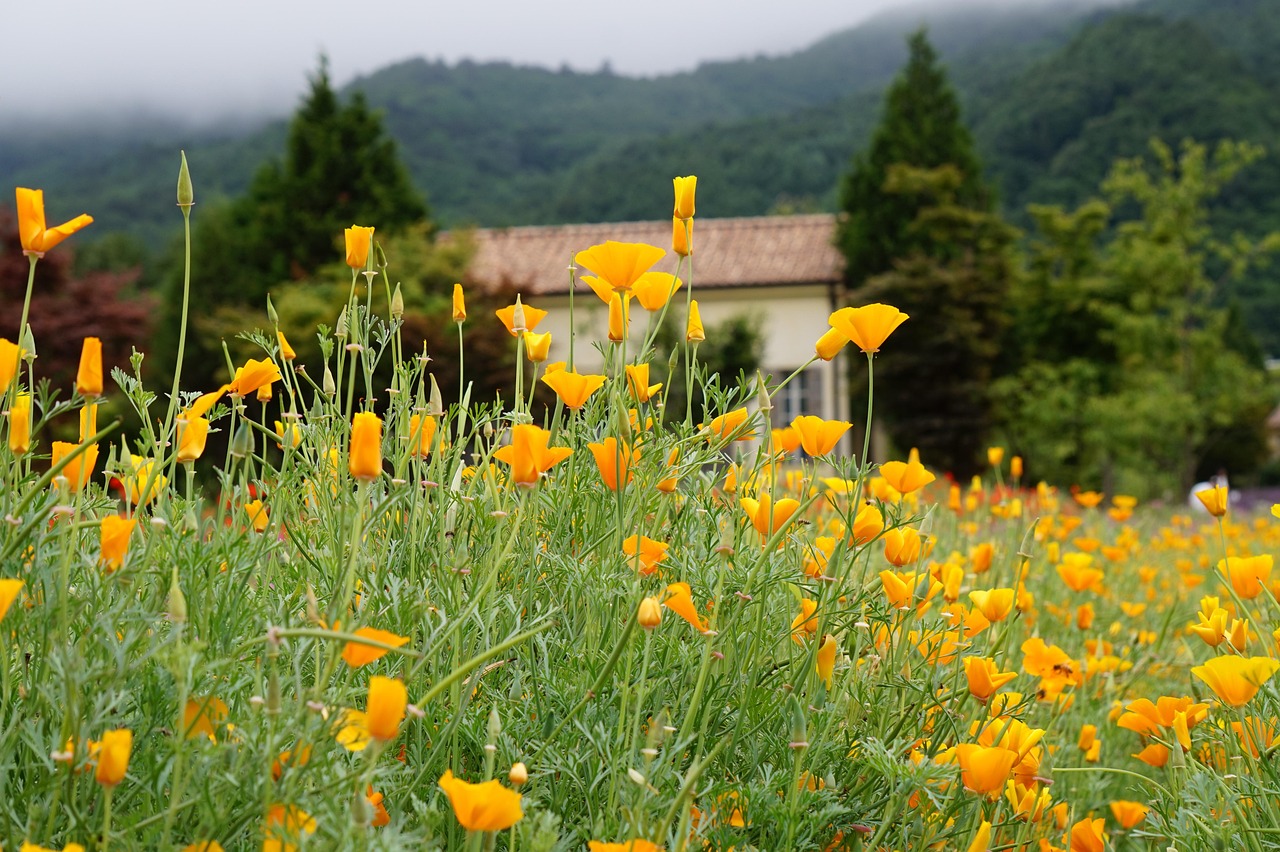 个人-企业版ChatGPT网站部署开店记