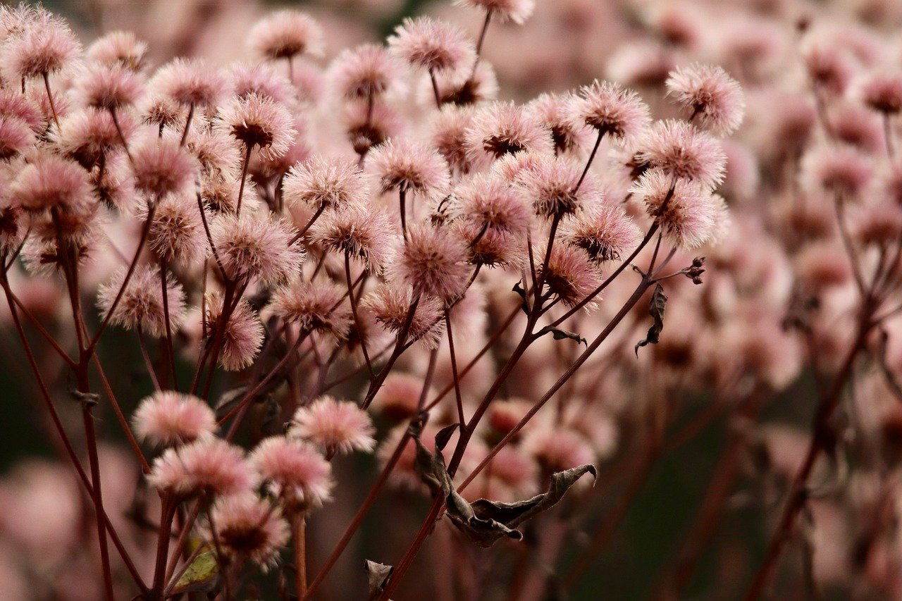 物华弥新:滨海新区工商代理注册