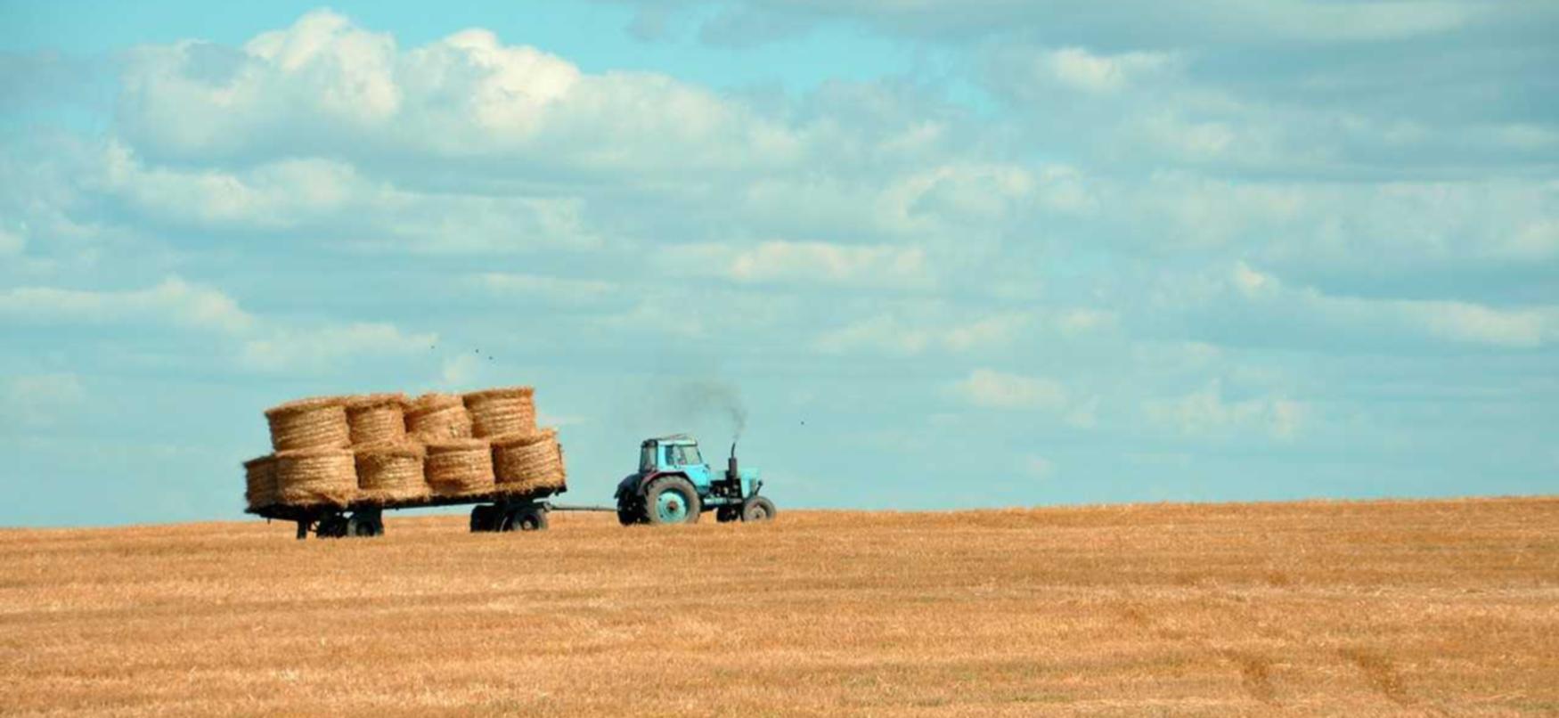 大量出售电话卡：足丝APP详情下载教程